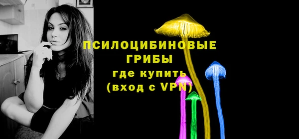 spice Абинск