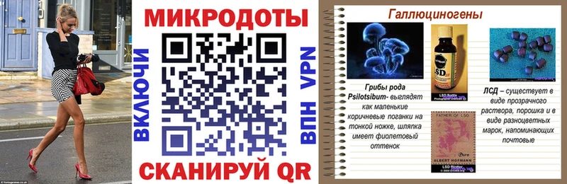 Галлюциногенные грибы Psilocybe  Куровское 