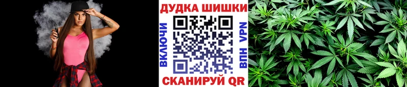 это клад  Куровское  Бошки марихуана план  как найти  